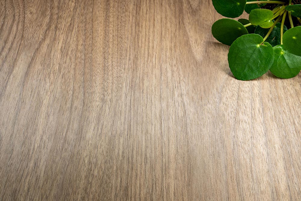 Walnut Oak - AF08
