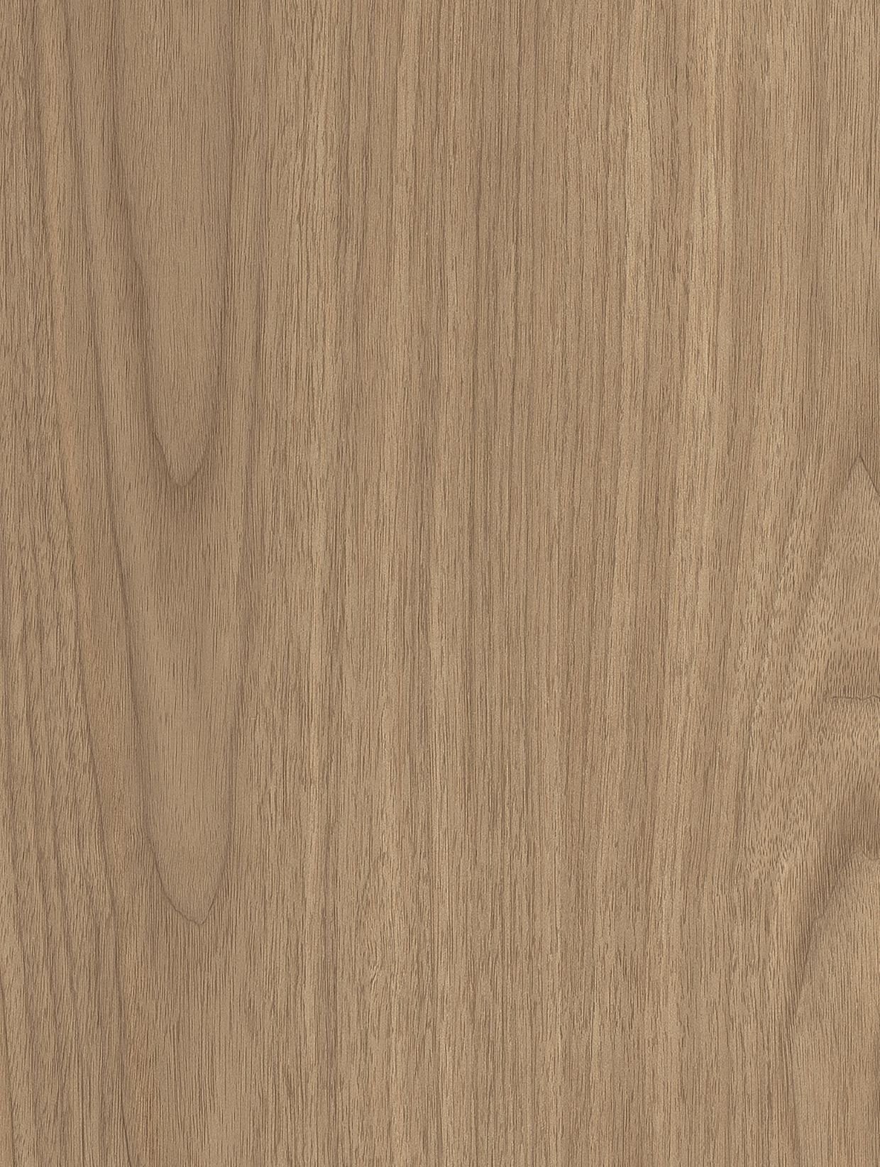 Walnut Oak - AF08