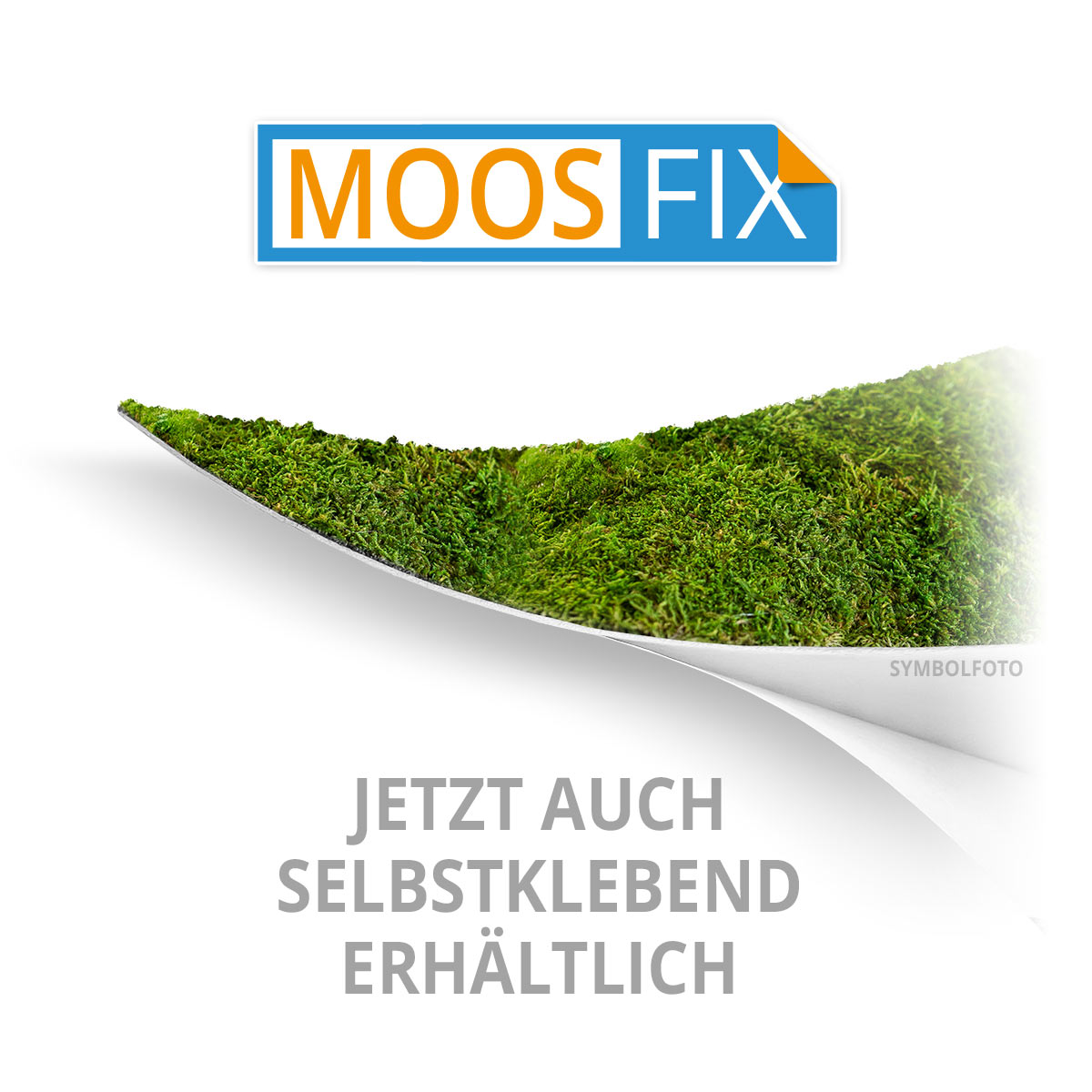 Waldmoos Logos / Schriften - Fichte - Negativ